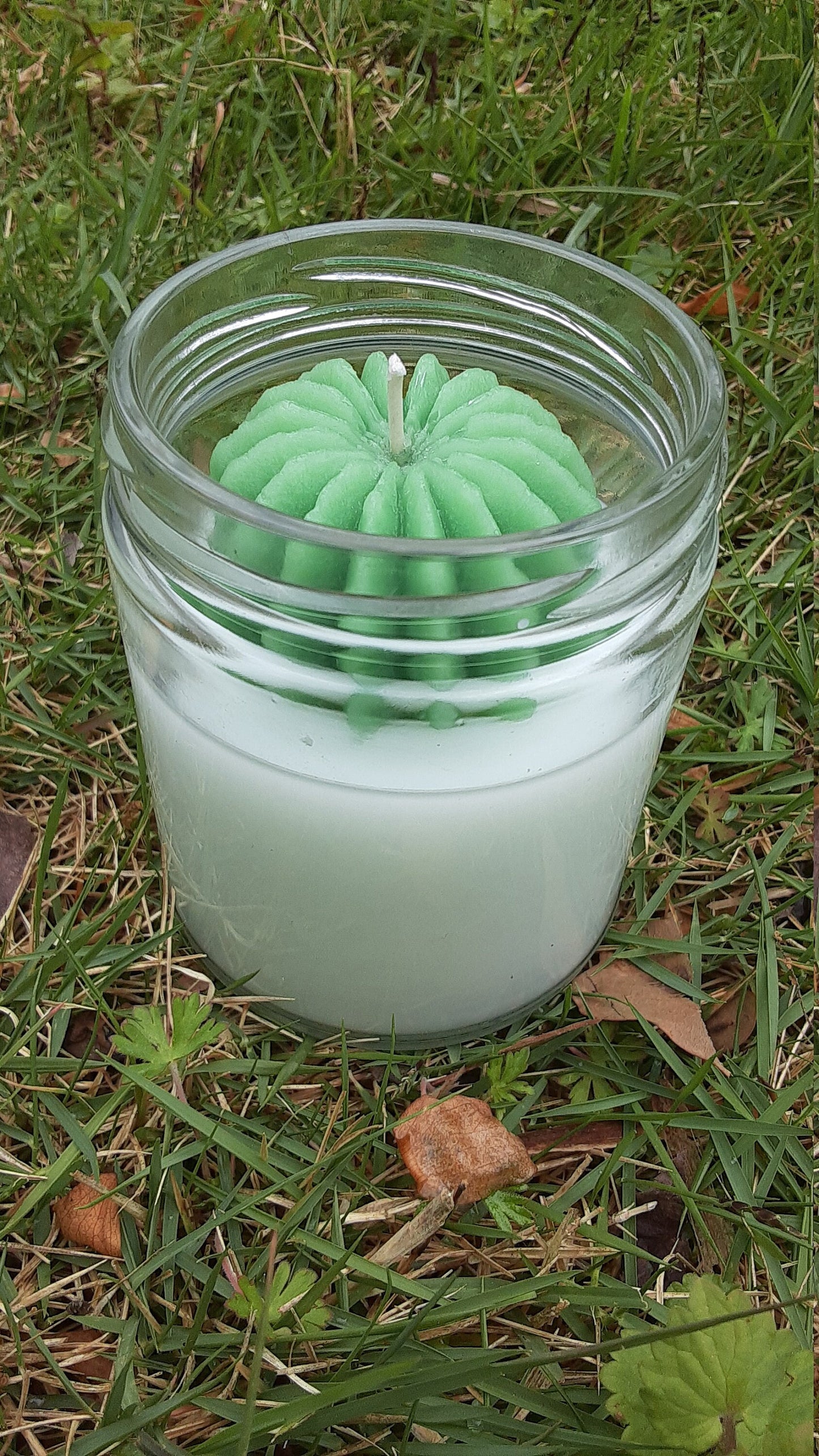 Cactus Flower Jade homemade Candles 8oz and 6oz succulent or cactus candle - spring decor