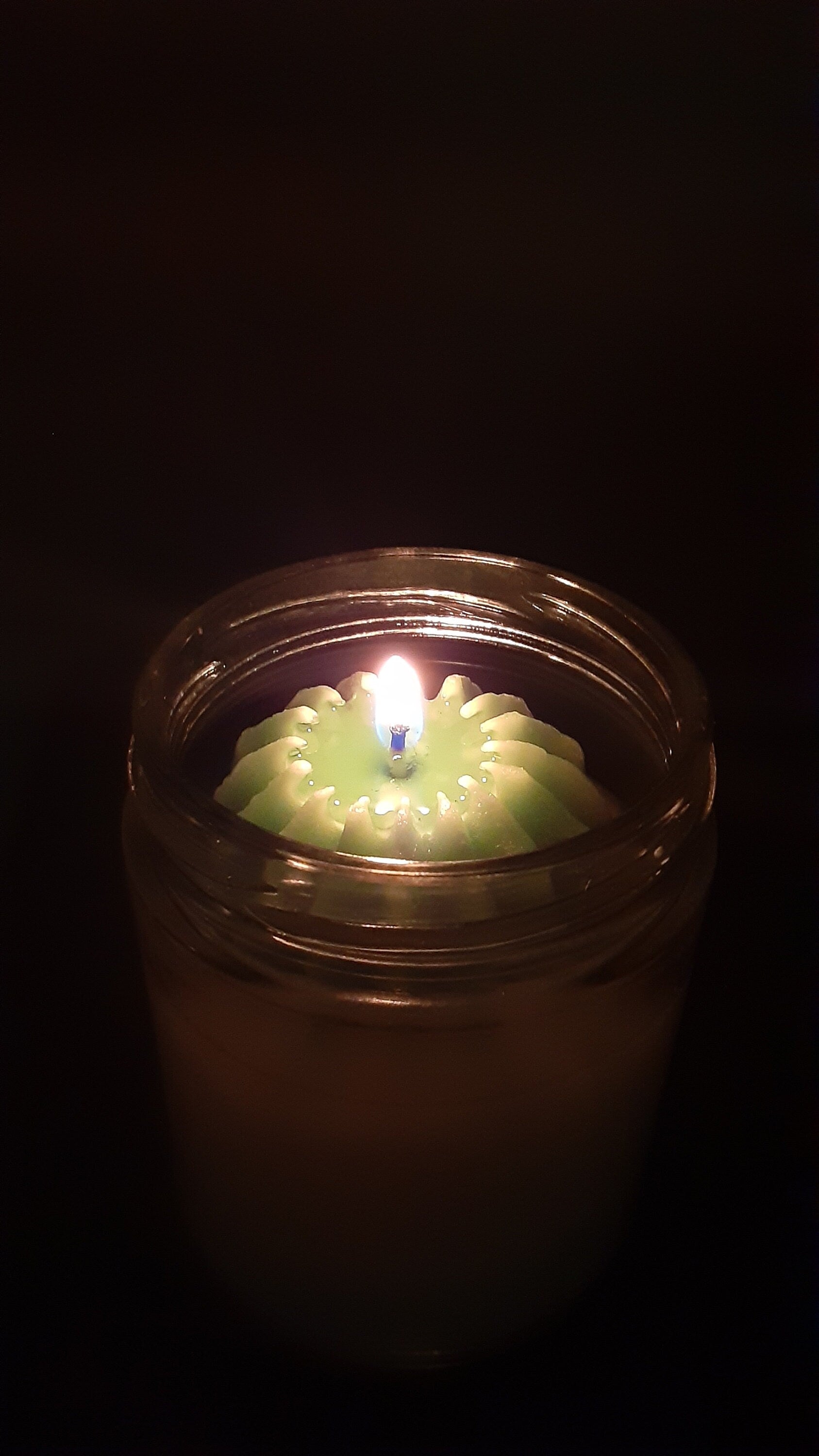 succulent jade candle Cactus Flower Jade Scented Candle 6oz
